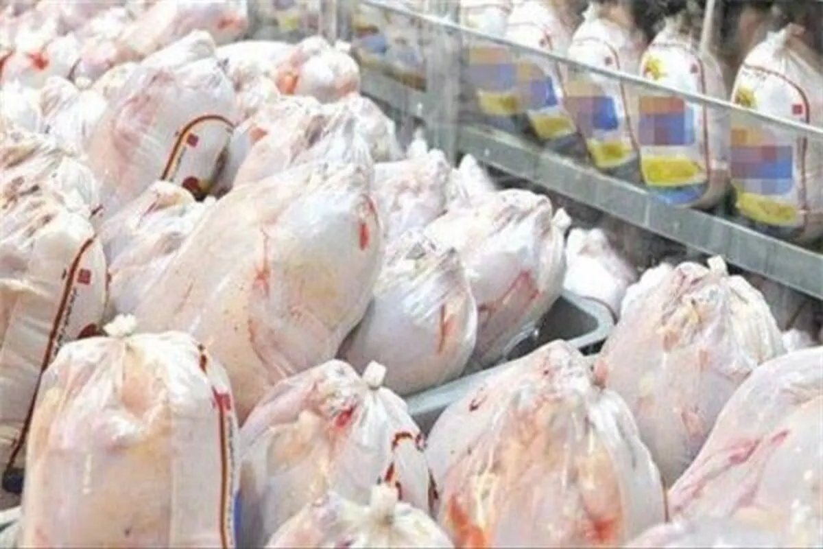 زنگ خطر مرغ ۴۰۰ هزار تومانی به صدا در آمد