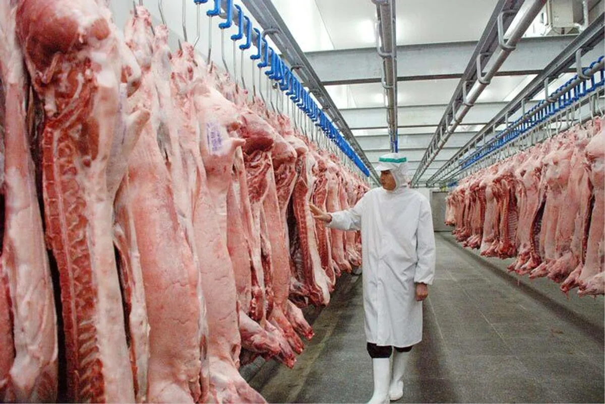 کاهش ۷ درصدی عرضه گوشت قرمز در آبان
