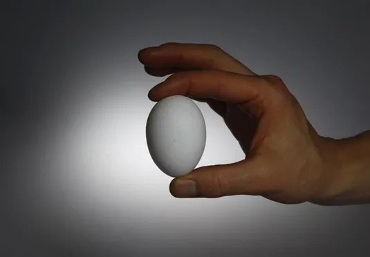 موافقت اولیه با افزایش قیمت تخم مرغ
