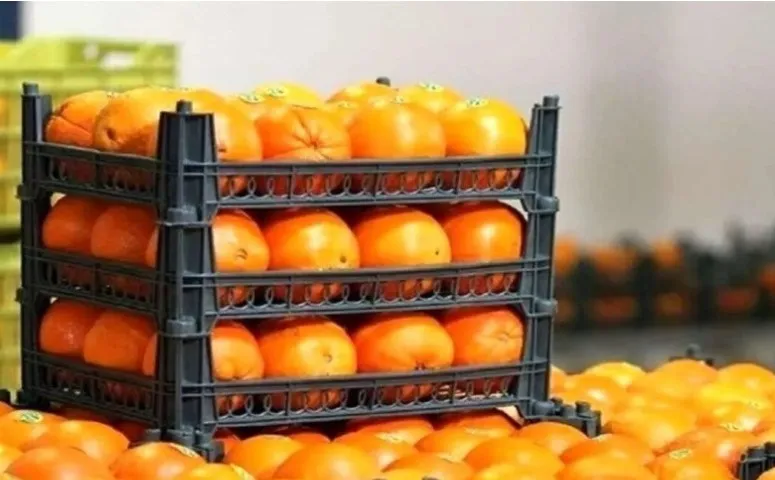 میوه