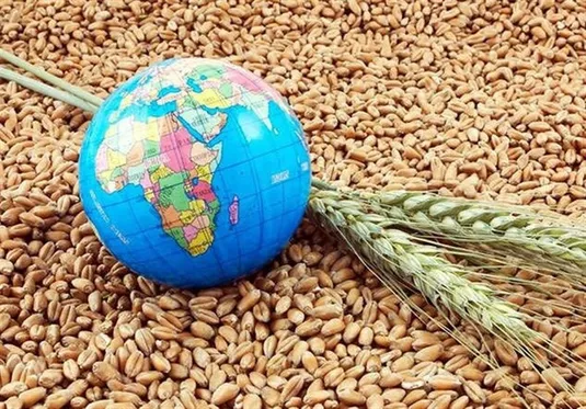 افزایش 2 درصدی قیمت جهانی مواد غذایی در سایه جنگ علیه ایران