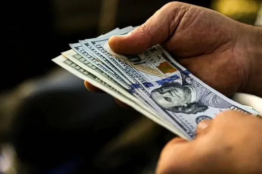 بانک مرکزی از نرخ&zwnj;گذاری ارز کنار برود؛ بازار قیمت را تعیین می&zwnj;کند