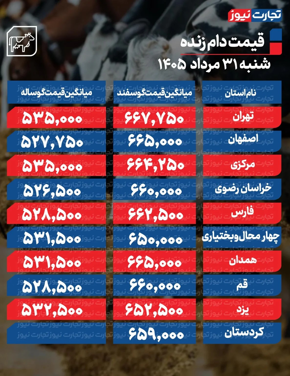 قیمت جدید دام‌زنده ۳۱ مردادماه ۱۴۰۵+ جدول