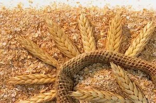 قیمت مصوب سبوس گندم اعلام شد