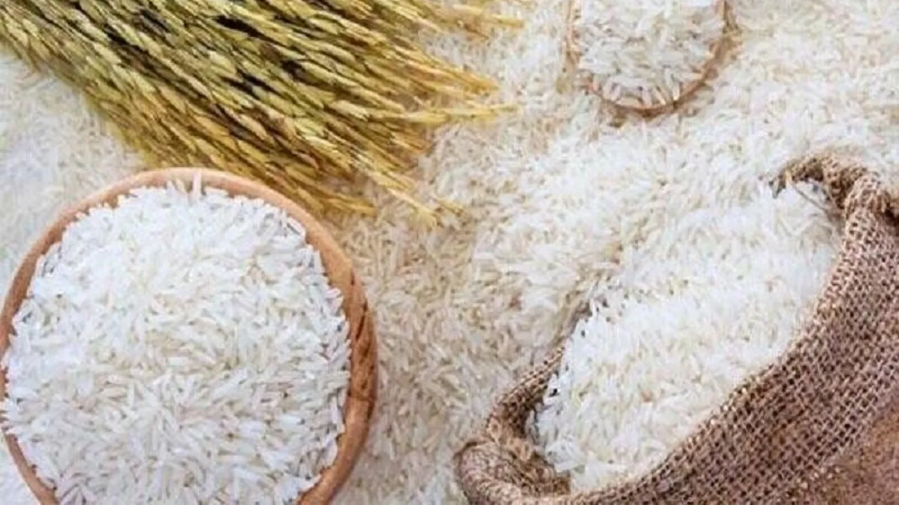  خودکفایی برنج 
