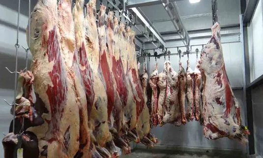 خودکفایی گوشت قرمز؛ وعده&zwnj;ای در گرو احیای صنعت فراموش&zwnj;شده پرواربندی