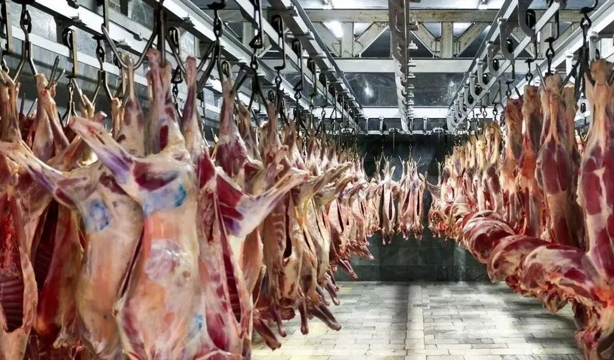 بازار گوشت در ثبات کامل؛ دام به وفور وجود دارد