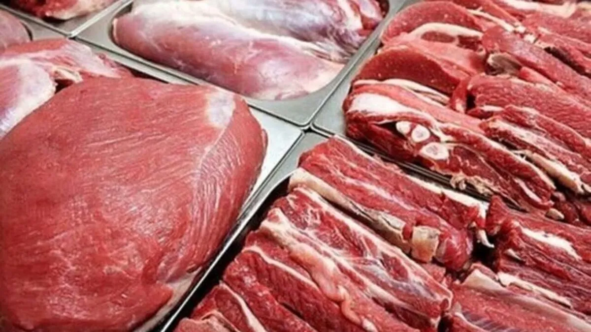 واردات روزانه ۲۰۰ تن گوشت گرم به کشور