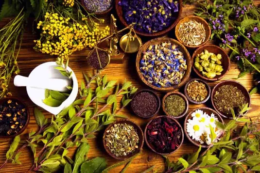 روسیه بازار بکری برای گیاهان دارویی ایران است