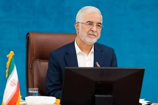 مومنی: ۷۰درصد اتباع داوطلبانه از کشور خارج شدند