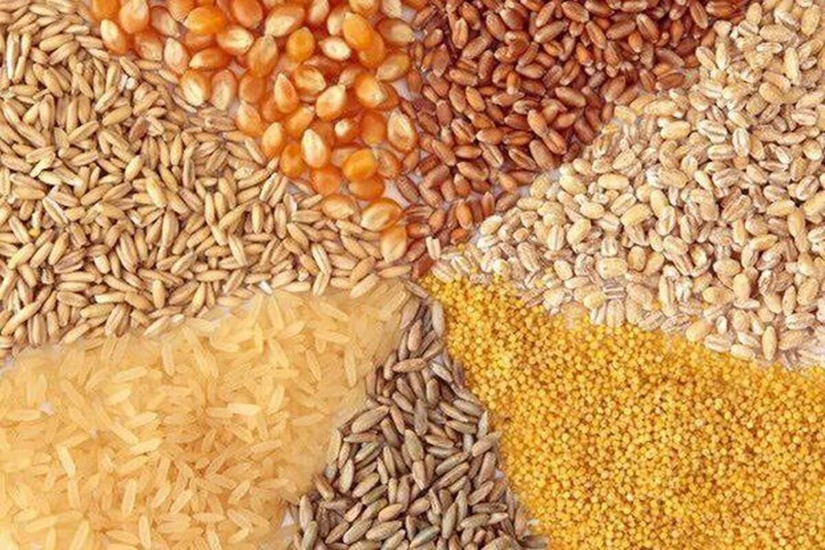 ترخیص بخشی از نهاده‌های دامی از ۷ مهر ماه