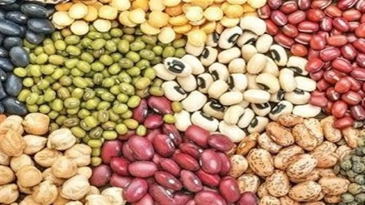 حبوبات