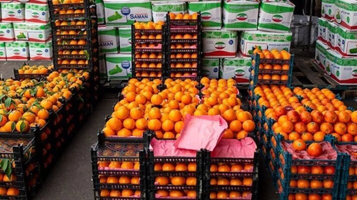قیمت عمده و نرخ روز میوه و صیفی‌جات تعیین شد+ جدول