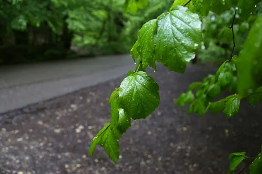 هشدار زرد هواشناسی برای تهران؛ بارش&zwnj;های رگباری و وقوع سیلاب در راه است