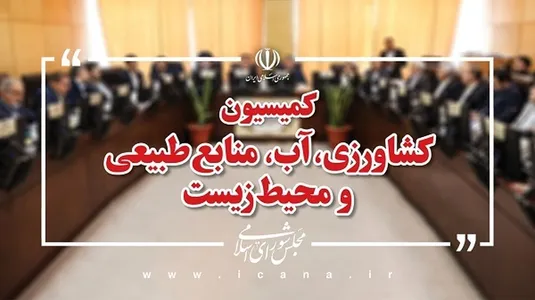 بررسی تخصیص ارز برای کالاهای اساسی با حضور معاون رئیس جمهور