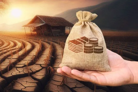 حمایت از گندم&zwnj;کاران با ۳ طرح جدید بیمه گندم/ امنیت غذایی تضمین می&zwnj;شود