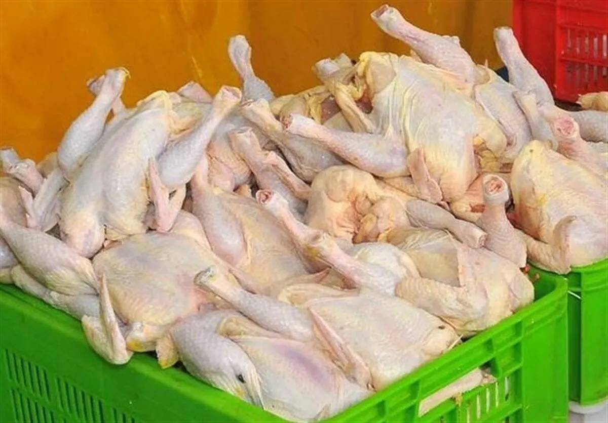 مرغ بیشتر از نیاز و تقاضا تامین است