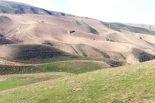 طرح&zwnj;های مرتعداری، امسال ۲ میلیون هکتار رشد می&zwnj;کند
