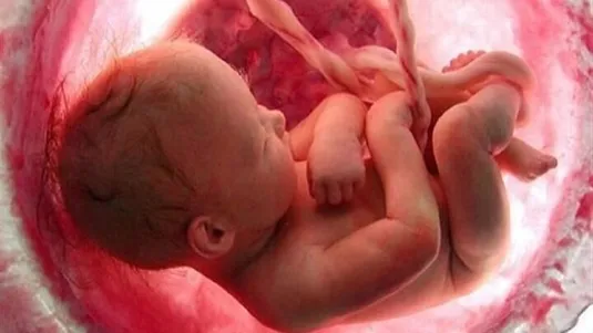 تعیین جنسیت جنین با رژیم غذایی امکان&zwnj;پذیر است؟
