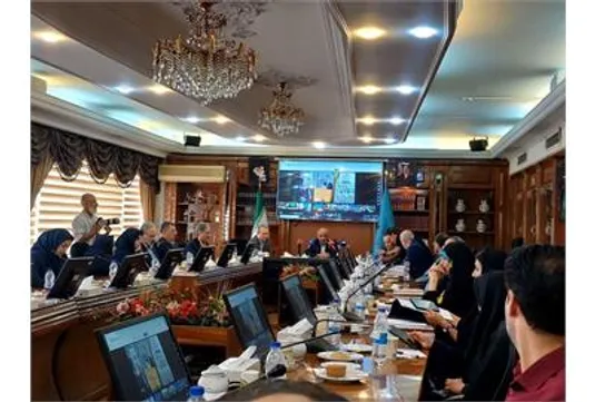 میدری:سال سوم دولت باید سال بخش تعاون باشد