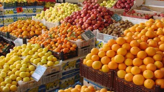 ظرفیت صادرات ۵۰ درصدی تولید سیب و مرکبات وجود دارد