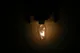 برنامه قطعی برق مشهد یکشنبه ۲۵ خرداد ۱۴۰۴