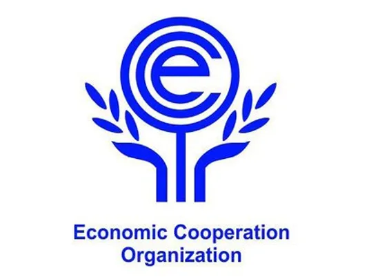 ظرفیت سازمان اکو هنوز روی زمین مانده است