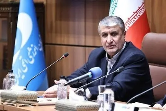 اسلامی: ۲ بازرس آژانس با مجوز دبیرخانه شورای عالی امنیت ملی به ایران سفر کردند
