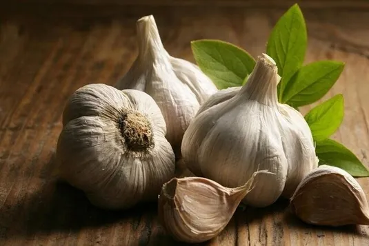 اثر شگفت&zwnj;انگیز سیر در جلوگیری از ابتلا به این بیماری&zwnj;ها