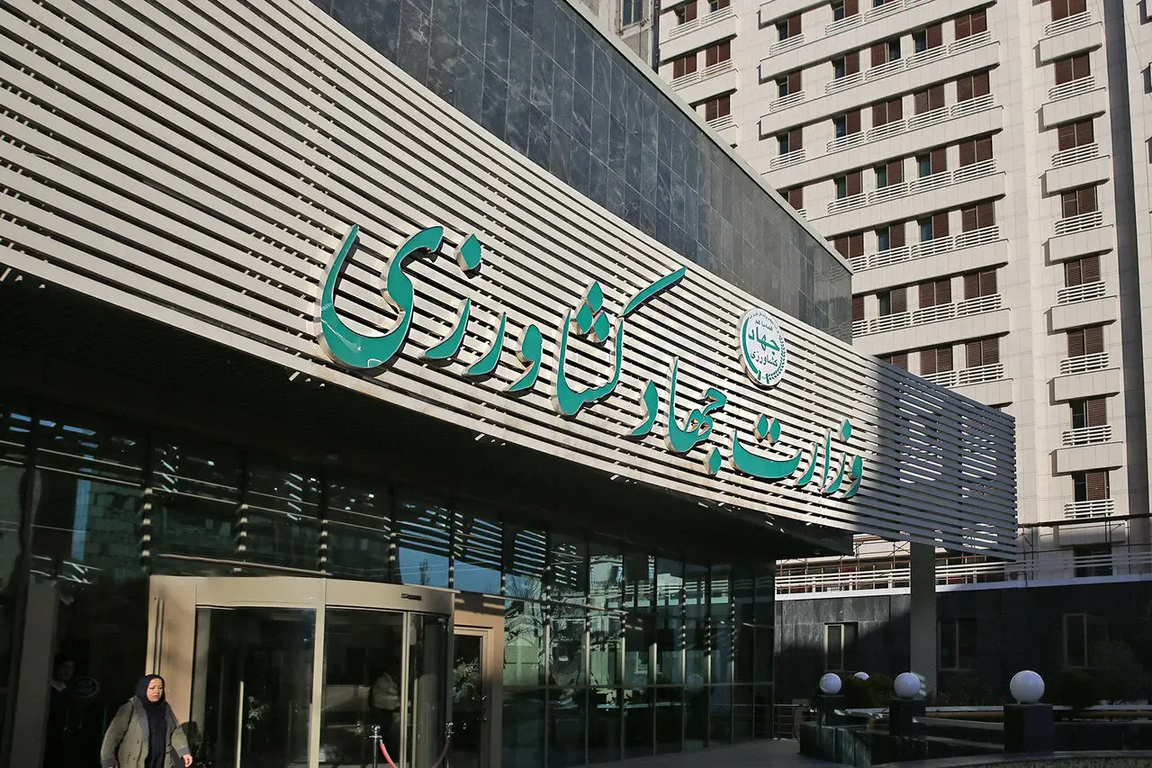 جهاد