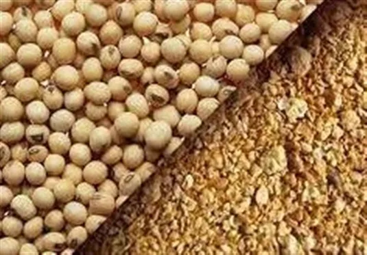 سقف واردات دانه&zwnj;های روغنی و کنجاله افزایش یافت
