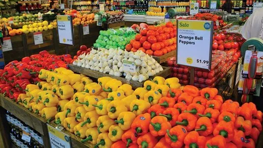 چرا سبزیجات صادراتی ایران برگشت می&zwnj;خورد؟