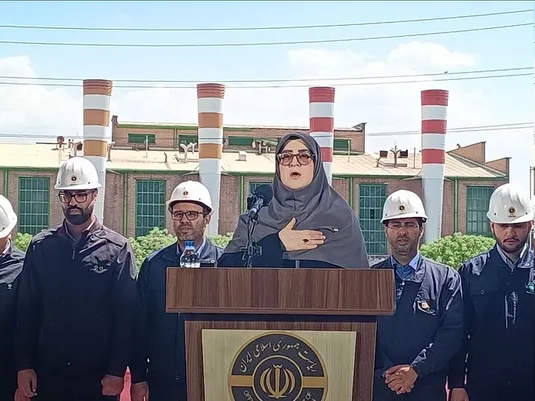 توضیحات مهاجرانی درباره اینترنت پرو