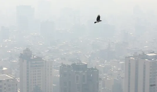 گزارش هواشناسی امروز ۱۷ آذر ۱۴۰۳