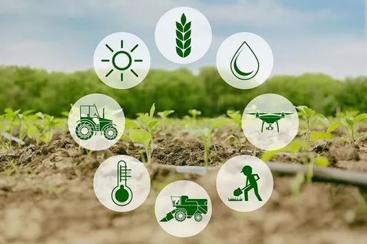 پیشنهادی برای مدیریت بحران آب / عوامل اصلی تهدید امنیت غذایی چیست؟